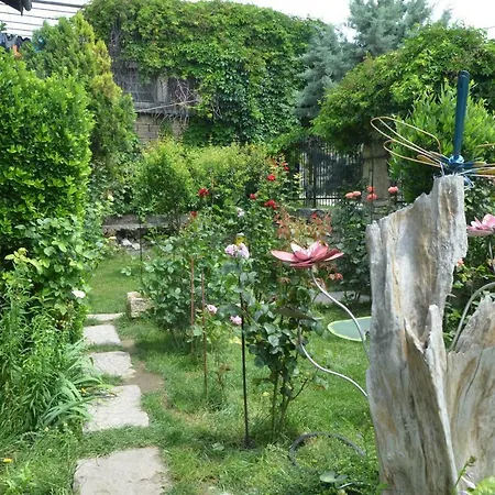 Amazonka * Βάρνα