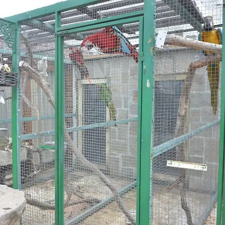 Πανσιόν Amazonka *