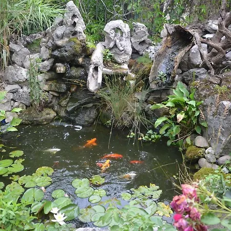 Amazonia Guest house Varna