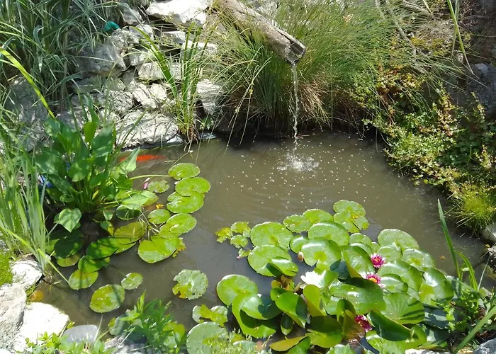 Gasthuis Amazonka Varna