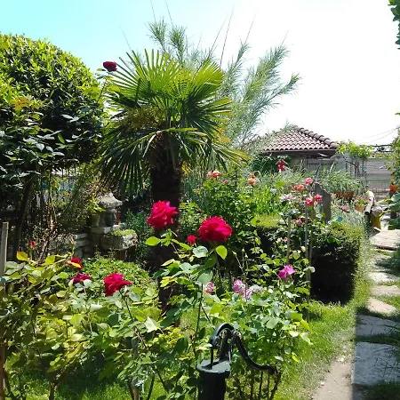 Amazonka * Varna