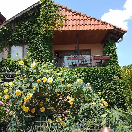 Amazonka Varna