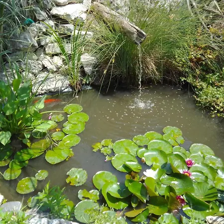 בית הארחה Amazonia וארנה