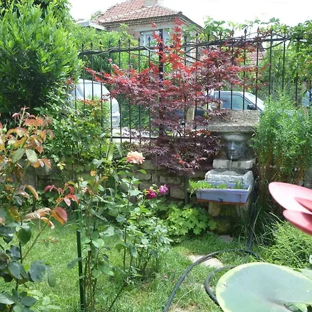 Amazonka * Varna