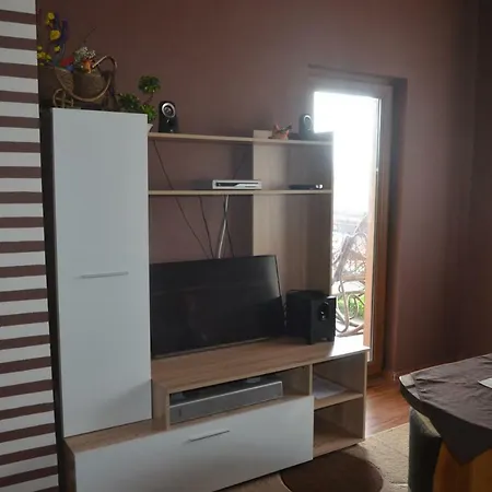 בית הארחה Amazonia