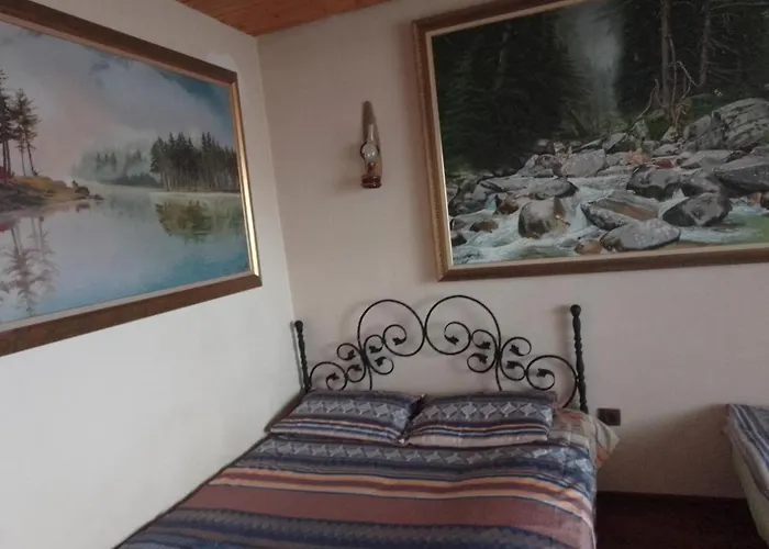 Guest house Amazonka *